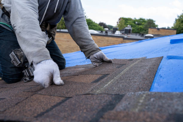 Best Shingle Roofing Installation  in Gentry, AR