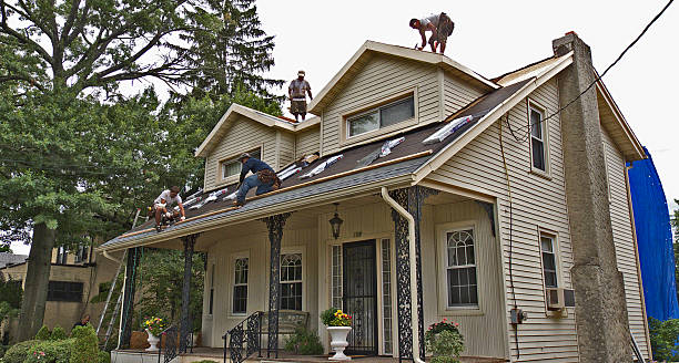 Best Local Roofing Companies  in Gentry, AR